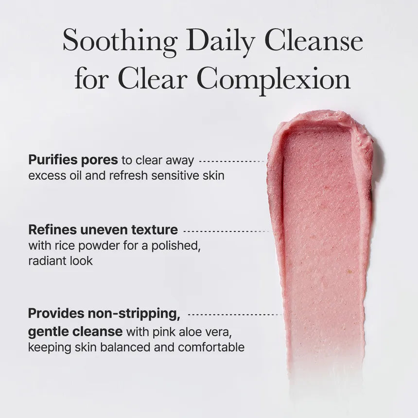 Arencia - Fresh Rosehip Rice Mochi Cleanser